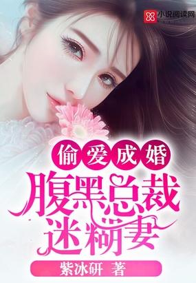 偷愛成婚：腹黑總裁迷糊妻