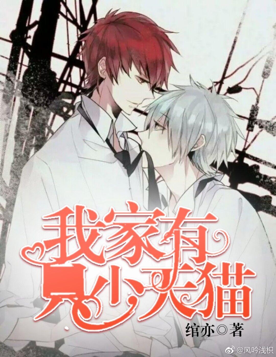 「全職喻黃」我家有只少天貓