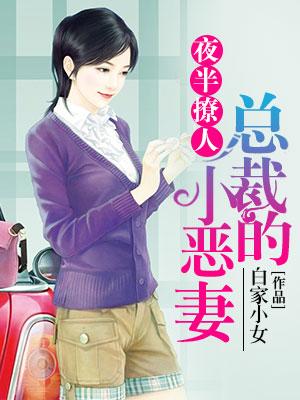 夜半撩人：總裁的小惡妻