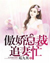 傲嬌總裁，追妻忙