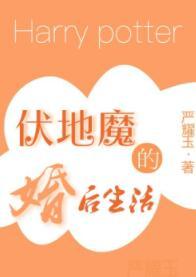 （HP）伏地魔的婚後生活