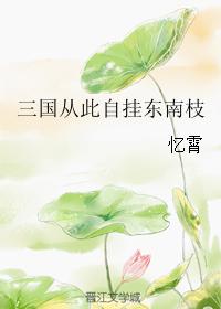 三國從此自挂東南枝