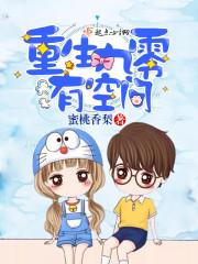 重生九零有空間