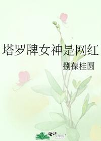 塔羅牌女神是網紅