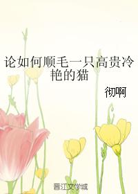 論如何順毛一只高貴冷豔的貓