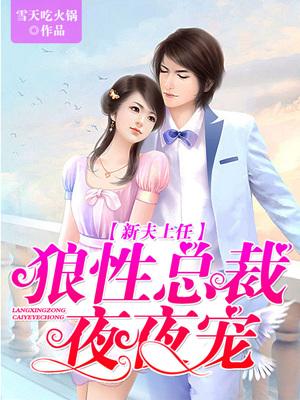 新夫上任，狼性總裁夜夜寵