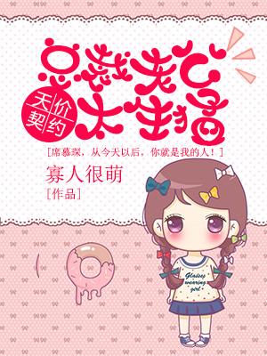 天價契約：總裁老公太生猛