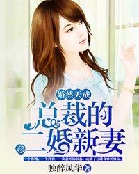 婚然天成：總裁的二婚新妻