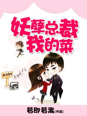 妖孽總裁，我的菜！