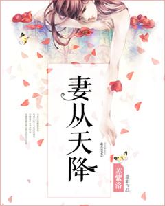 妻從天降