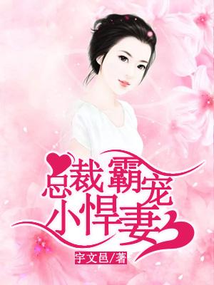 總裁霸寵小悍妻