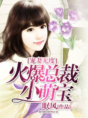寵妻無度：火爆總裁小萌寶
