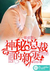 一錯成婚：神秘總裁的新妻