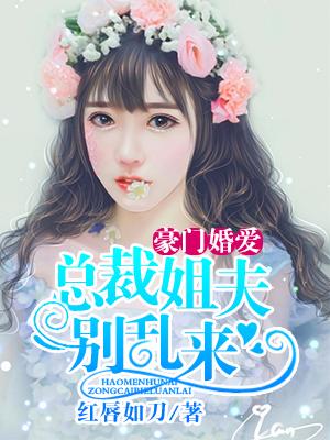 豪門婚愛：總裁姐夫別亂來