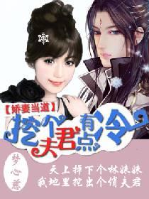 嬌妻當道：挖個夫君有點冷