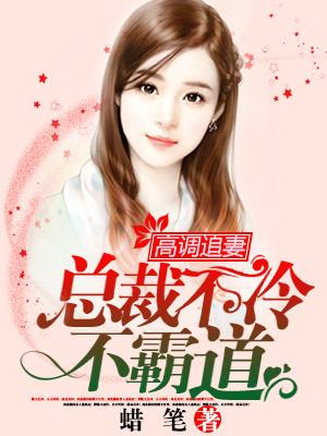 高調追妻：總裁不冷不霸道