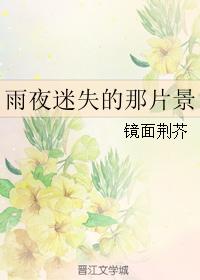 雨夜迷失的那片景