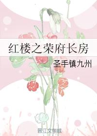 紅樓之榮府長房