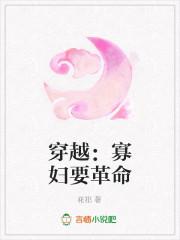 穿越：寡婦要革命