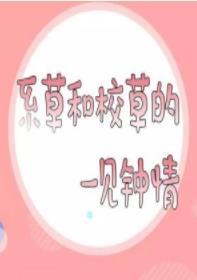 系草和校草的一見鐘情