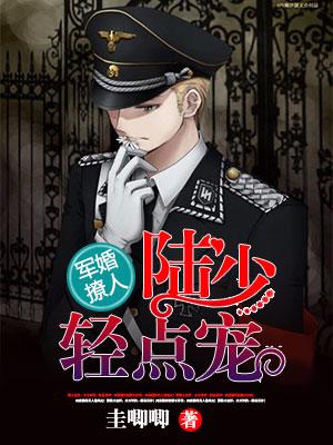 新婚撩人：陸少，輕點寵