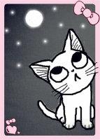 喵嗚，目标白月光