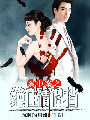 案中案之絕佳情侶檔