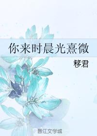 你來時晨光熹微