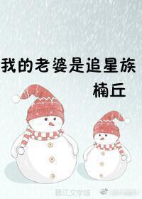 我的老婆是追星族