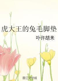 虎大王的兔毛腳墊