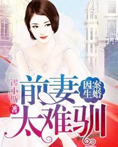 因案生婚：前妻太難馴