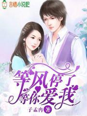 等風停了等你愛我