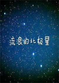 流浪的北極星