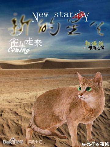 [貓武士]新的星空1雀星走來