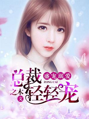 盛寵溺愛：總裁輕輕寵