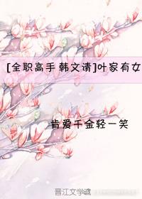 [全職高手 韓文清]葉家有女