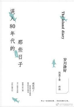 誤入80年代的那些日子