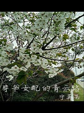 穿書女配的青雲路