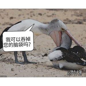 我可以吞掉您的腦袋嗎？