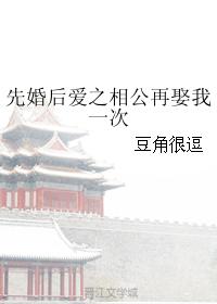 先婚後愛之相公再娶我一次