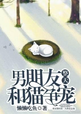 男朋友整天和貓争寵