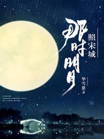 那時明月照宋城