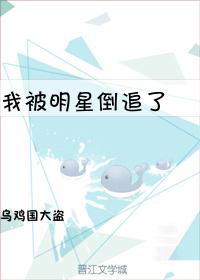 我被明星倒追了