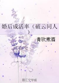 婚後成活率（破雲同人）