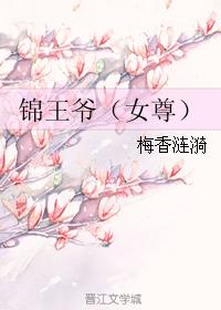 錦王爺（女尊）