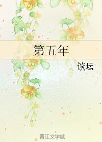 第五年