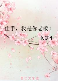 住手，我是你老板！