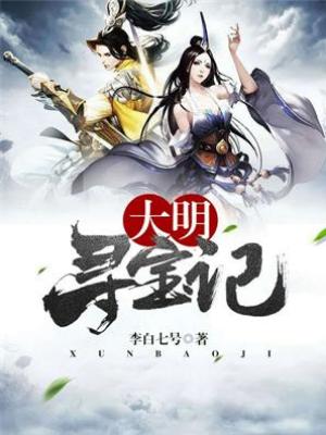 大明尋寶記