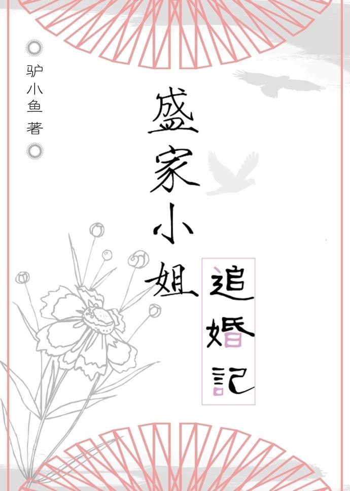 盛家小姐追婚記