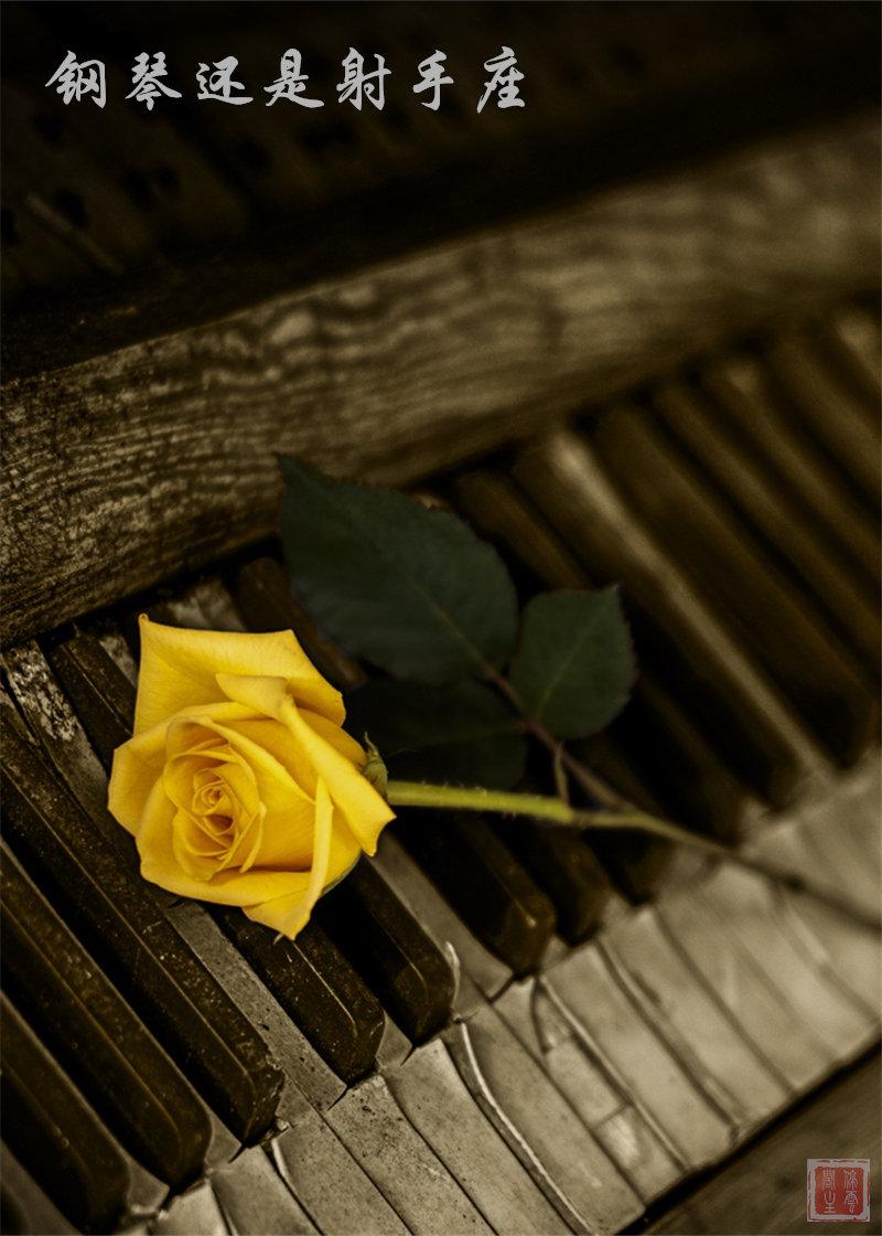 鋼琴還是射手座